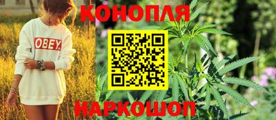 прущие грибы Рузаевка