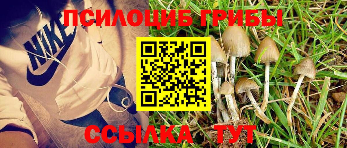 Сафоново  купить наркотики сайты  Галлюциногенные грибы ЛСД  Вход с VPN  Псилоцибиновые грибы мухоморы 