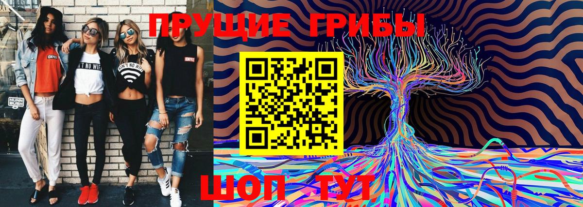 Галлюциногенные грибы Psilocybine cubensis Сафоново