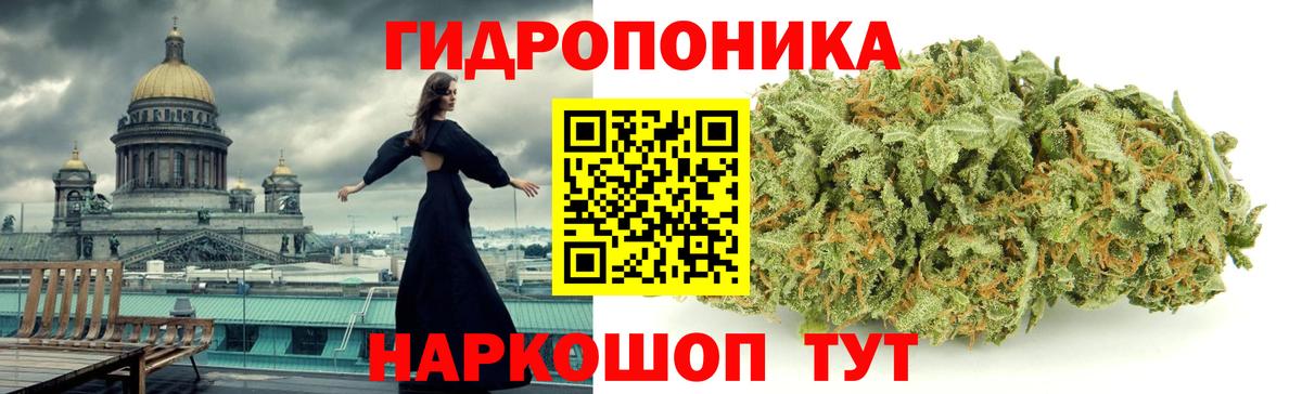 Бошки Шишки конопля Сафоново